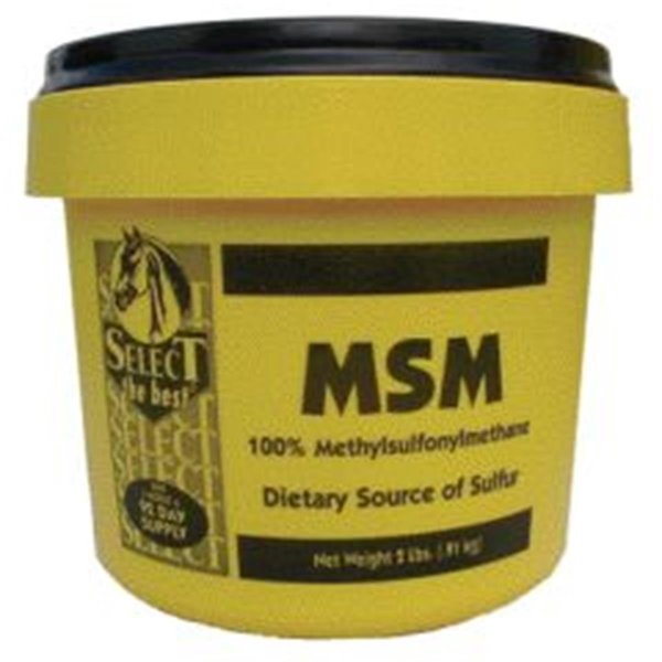 Richdel Select Methylsulfonylmethane Powder - 2 Pound RI37743